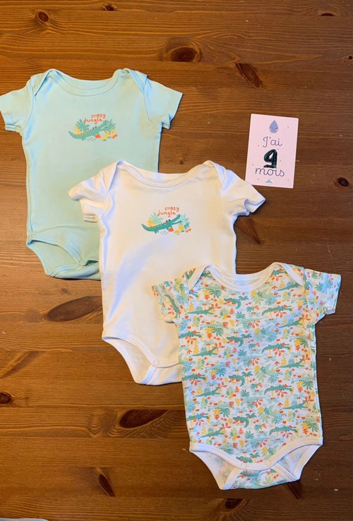 Lot de 3 bodies manches courtes