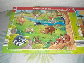 Lot puzzle