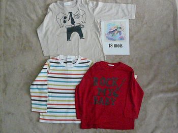 Lot de 3 tee-shirts 18 mois