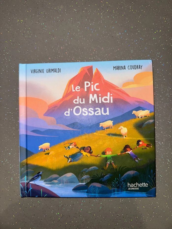 Lot 4 livres « merveilles de France » - photo numéro 2