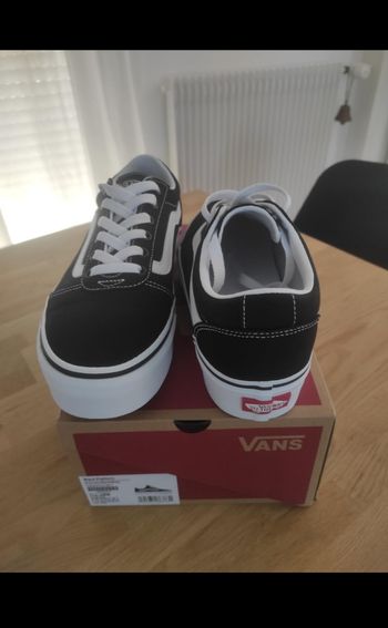 Basket Vans