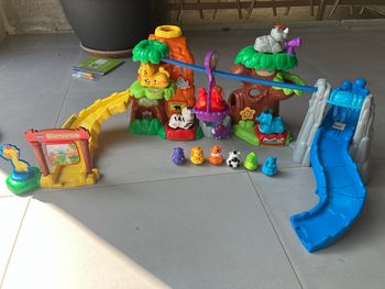 Circuit tut tut animo la jungle