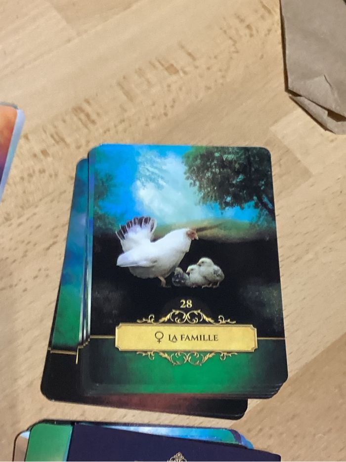 Oracle de Belline avec livret d’interprétation et sa trousse de protection - photo numéro 4