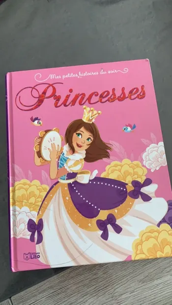Livre les petites histoires du soir princesse