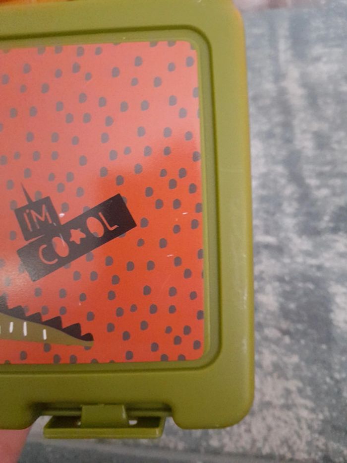 Boite lunch crocodile - photo numéro 6