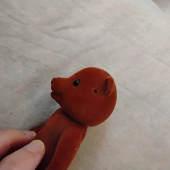 Ours 🐻 - photo numéro 3