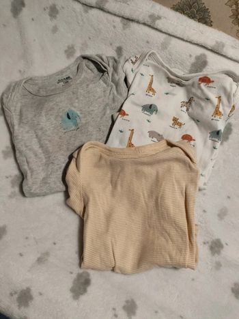 Body 12 mois manche courte