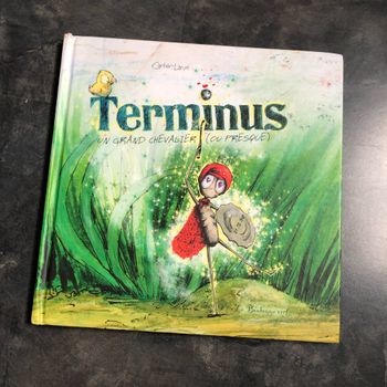 Livre terminus un grand chevalier ou presque