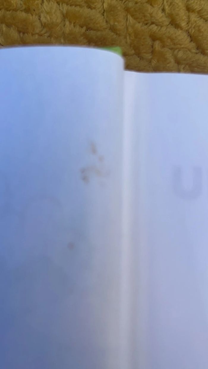 Livre - photo numéro 2