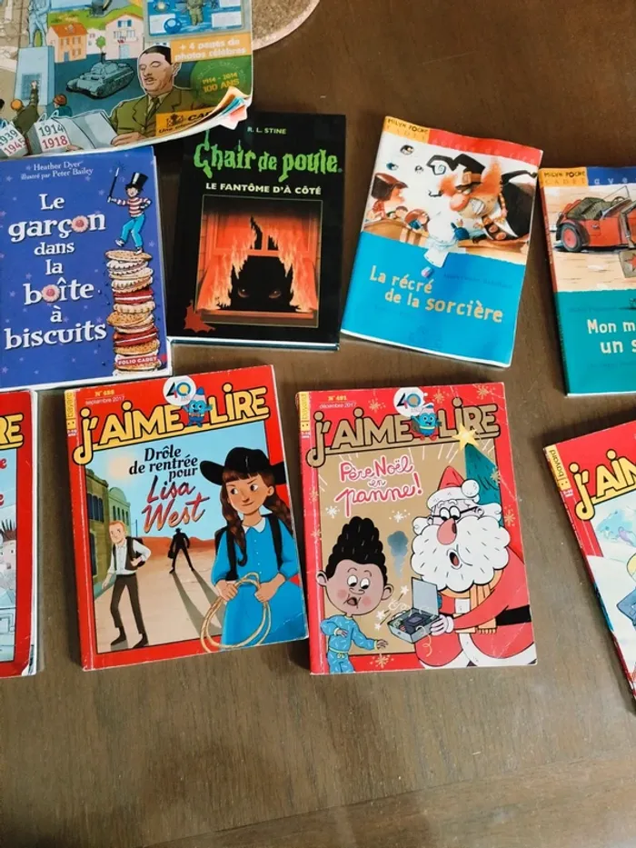 Lot de 10 livres pour enfants 7 /10 ans - photo numéro 11