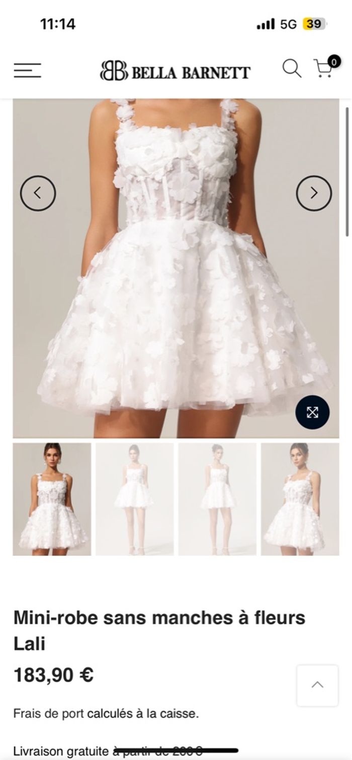 Robe - photo numéro 4