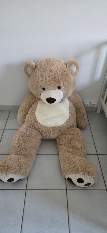 Ours en peluche