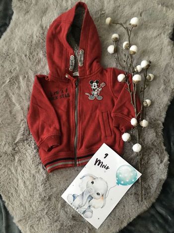 Veste / manteau 9 mois