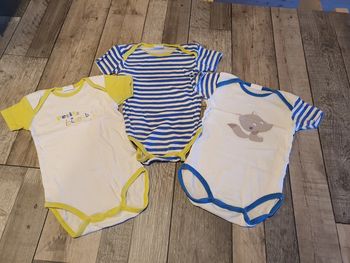 Lot de 3 bodies 24 mois