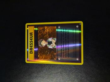 Carte Pokemon : Dresseur Vaillance de pierre 74/108 reverse Xy évolutions fr