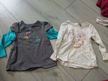 Lot 2 t-shirt manches longues orchestra 18 mois