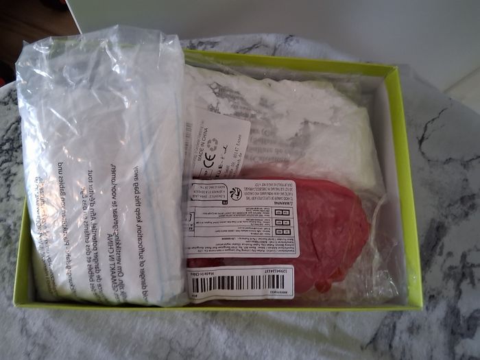 Kit moulage dinosores en plâtre - photo numéro 5