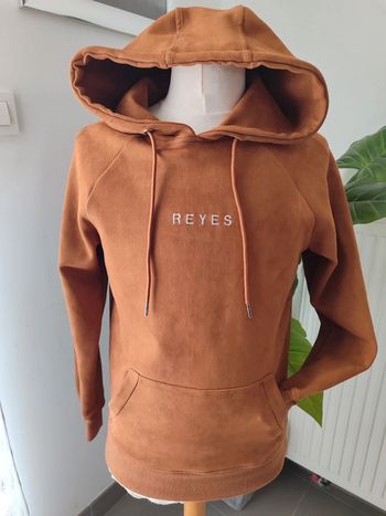 Pull a capuche suédine