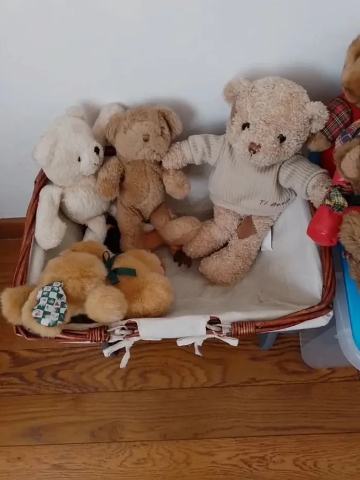 La famille Ours au grand complet. Qui l'adoptera pour la vie ? - photo numéro 4