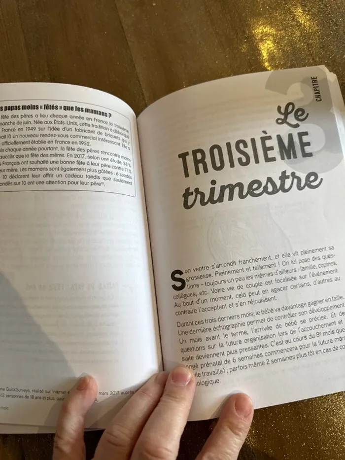 Livre papa dans quelques mois - photo numéro 4
