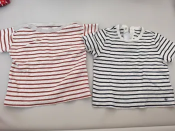 Lot de 2 t-shirts manches courtes