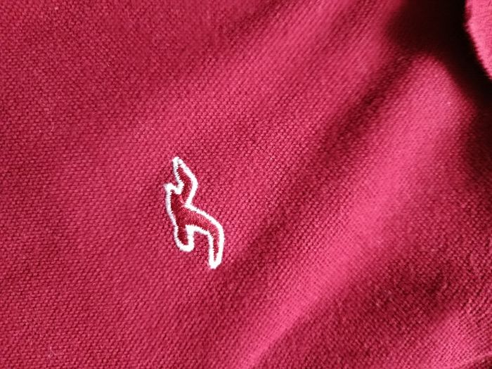 Polo Hollister - photo numéro 2