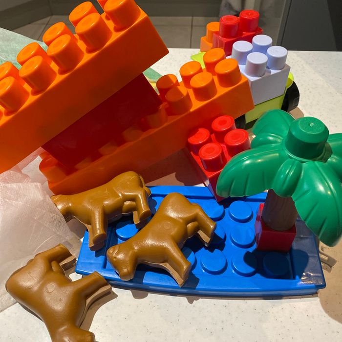 Lot 40 briques cubes animaux pour bébé