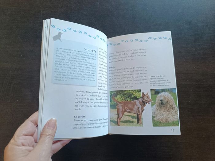 Livre MON... CHIEN - photo numéro 7