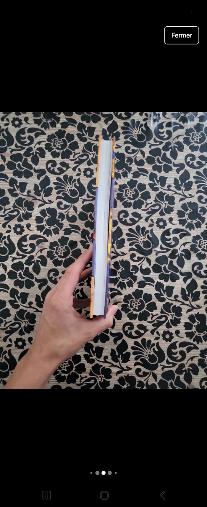 Livre Mortelle Adèle - photo numéro 4