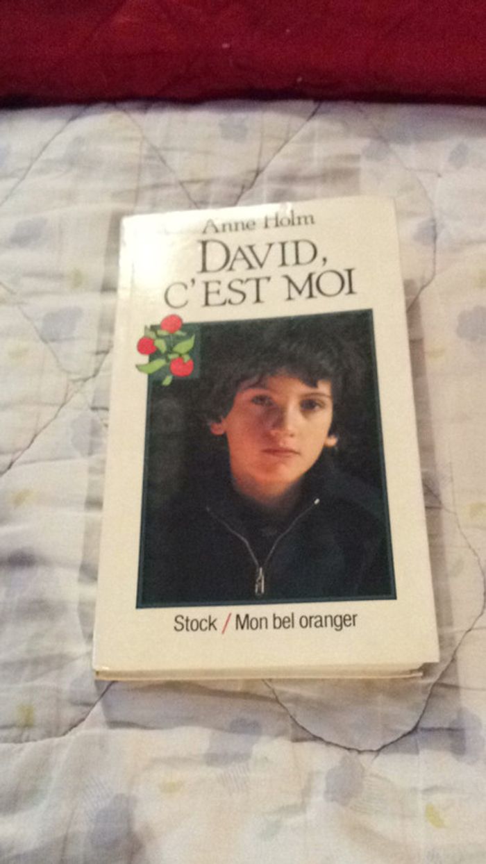 #David c’est moi par Anne Holn