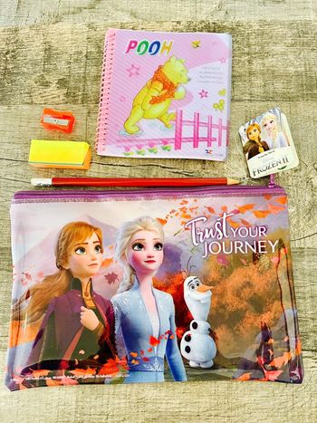 Lot « Reine des neiges »