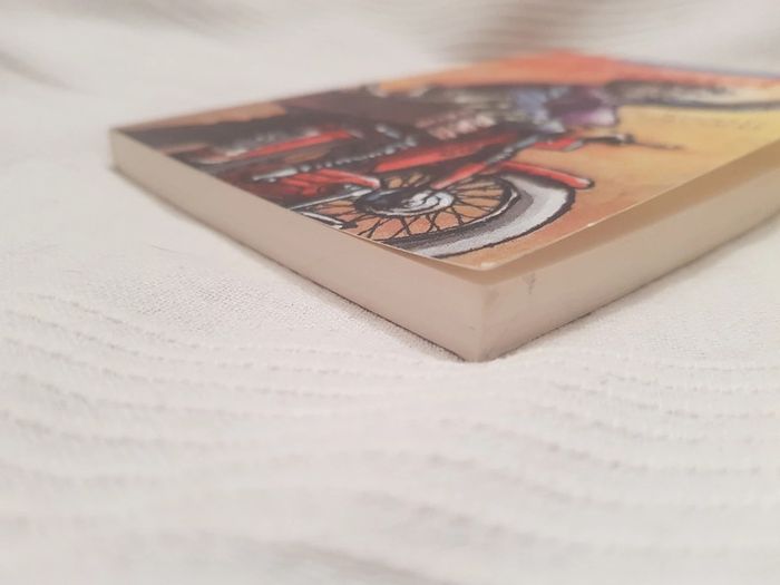 Le jobard de Michel piquemal - photo numéro 4