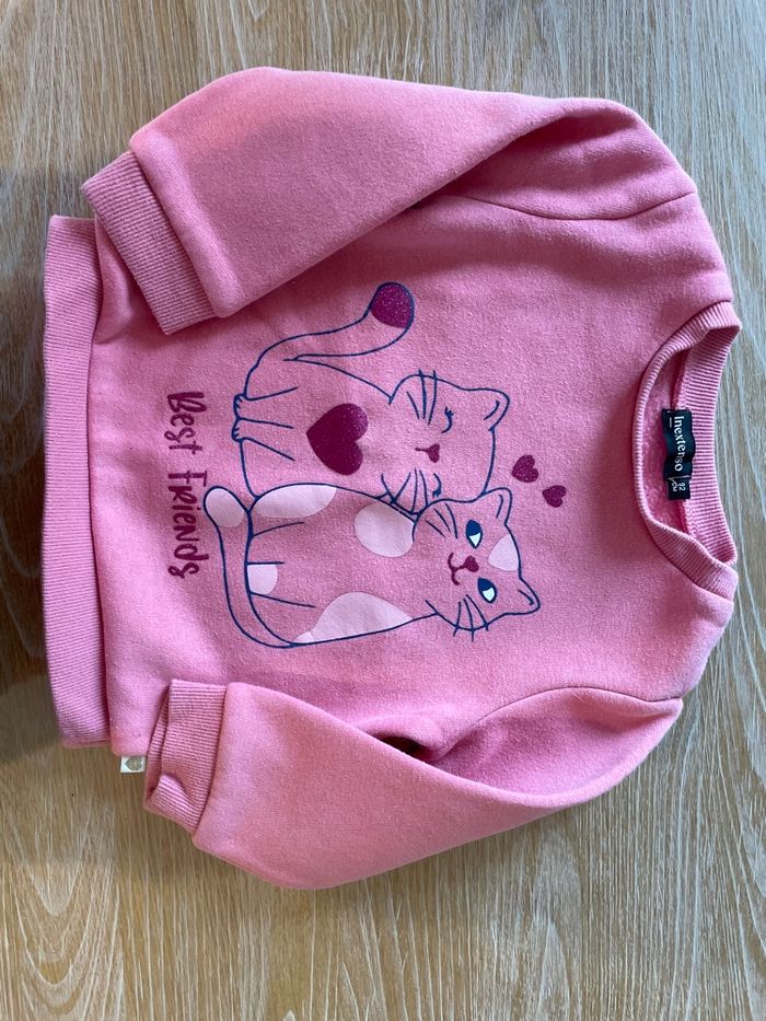 Lot 2 pulls - photo numéro 2