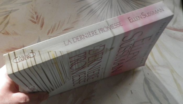 La dernière promesse d'Ellen Sussman Ed. Michel Lafon - photo numéro 3