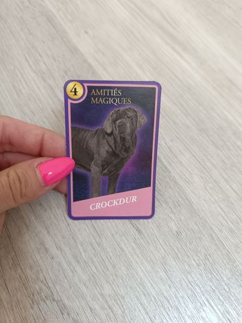 Carte à collectionner Harry Potter