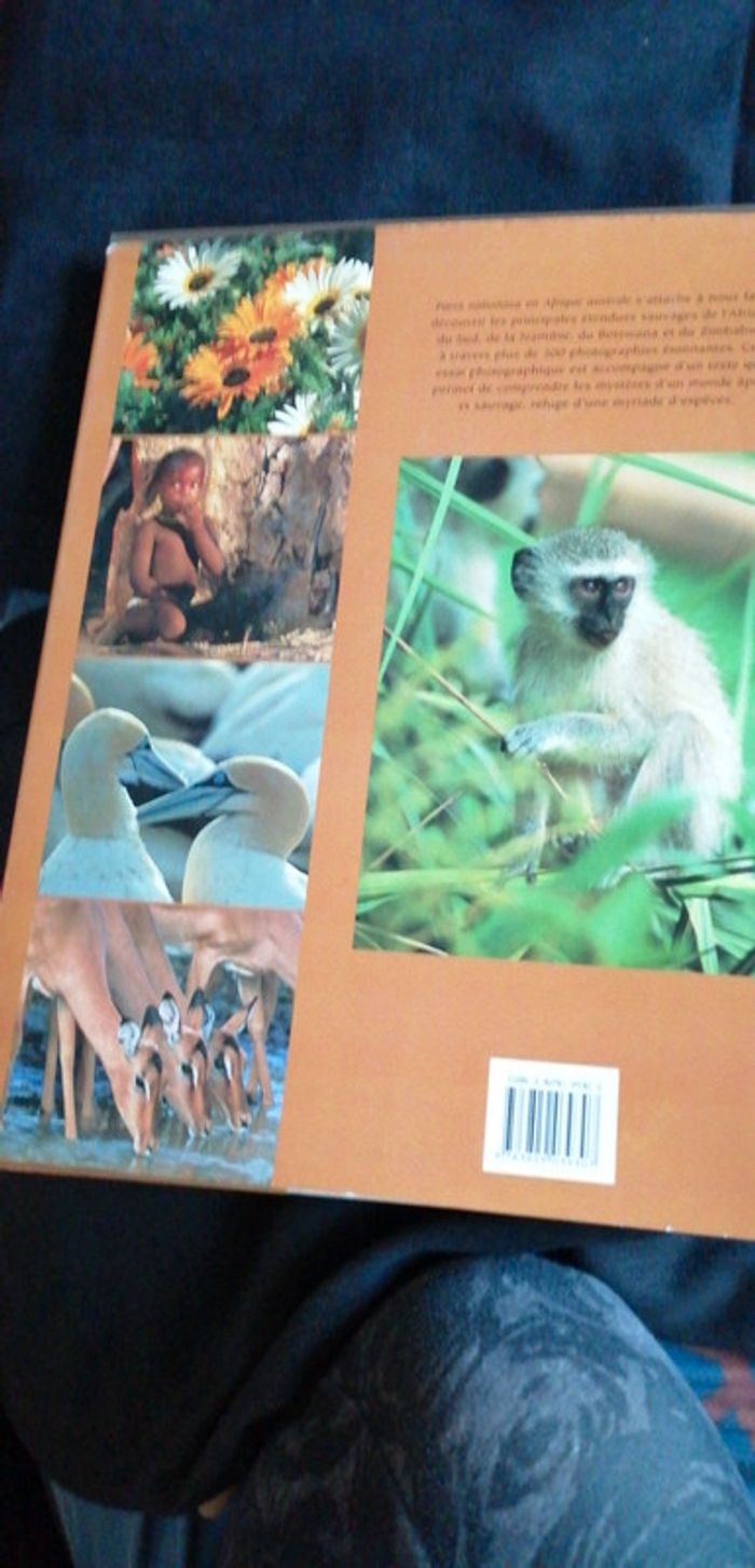 Livre l'Afrique australe - photo numéro 8