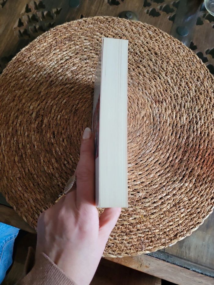 Le stress au travail. Patrick Legeron - photo numéro 2