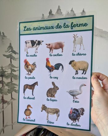 Illustration des animaux de la ferme en photos, pour enfant