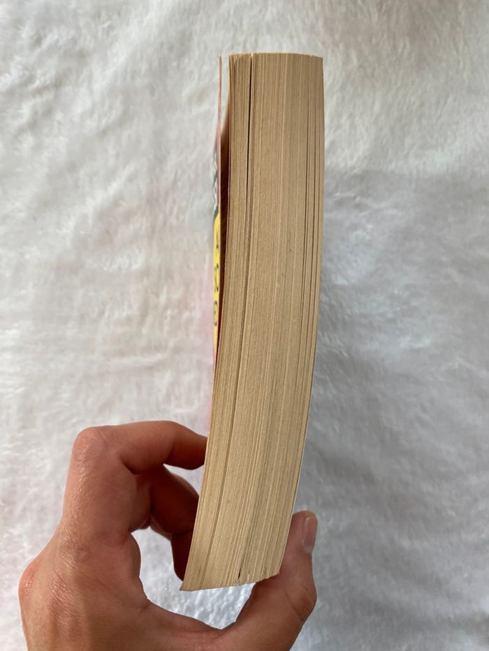 Livre 📕 au soleil redouté - photo numéro 2