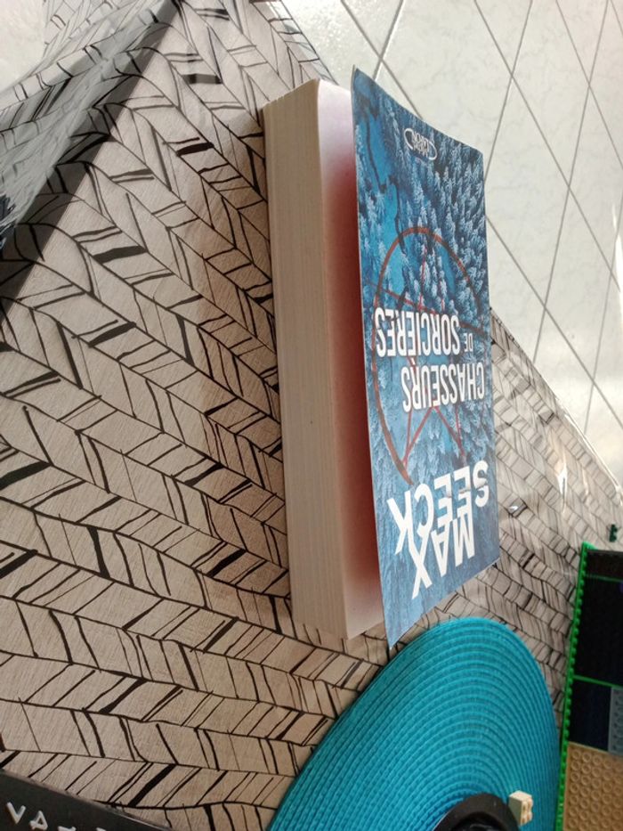 Livre " Chasseurs de sorcières " - photo numéro 3