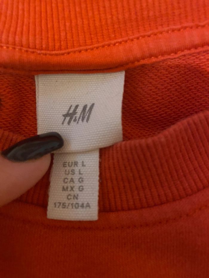 Pull. - photo numéro 2