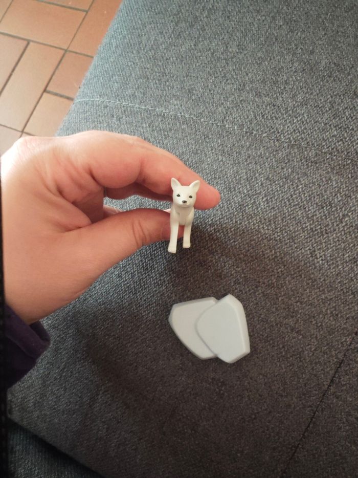 Playmobil wiltopia Renard 🦊 polaire - photo numéro 2