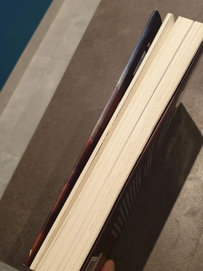 Livre frigiel et fluffy les trois clans - photo numéro 3