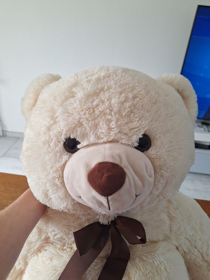 Ours en peluche - photo numéro 2