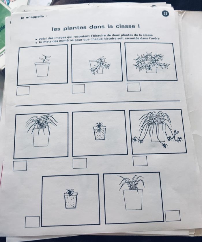Activités d’éveil pour les 5 à 7 ans - photo numéro 6