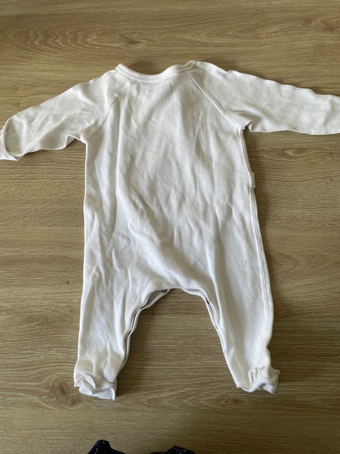 Grenouillère - photo numéro 10