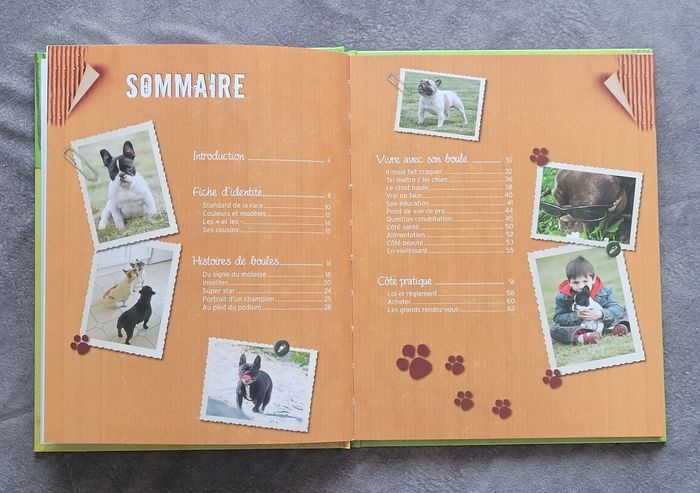 Le bouledogue français Emmanuelle Dal'Secco - photo numéro 2