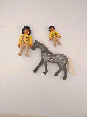 Lot indiens playmobil