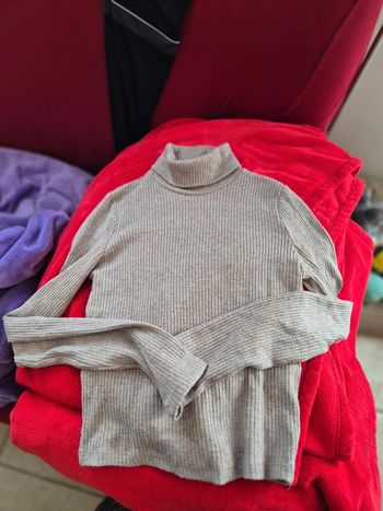 Pull col roule