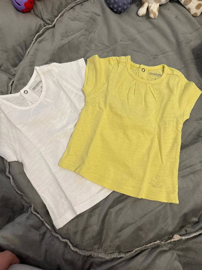 3 Tee-shirts manches courtes